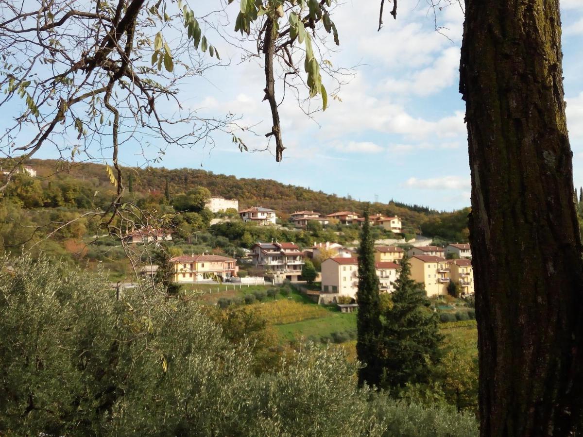Panoramico10 Apartment With A View In Valpolicella SantʼAmbrogio di Valpolicella Εξωτερικό φωτογραφία